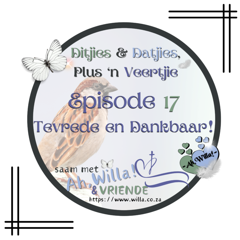 Episode 17 Met Mossiegroet Potgooi vir Ditjies en Datjies, Plus 'n Veertjie for Ah,Willa! © copyright